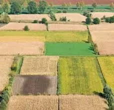 Un'immagine generica segnaposto con angoli arrotondati in una figura.